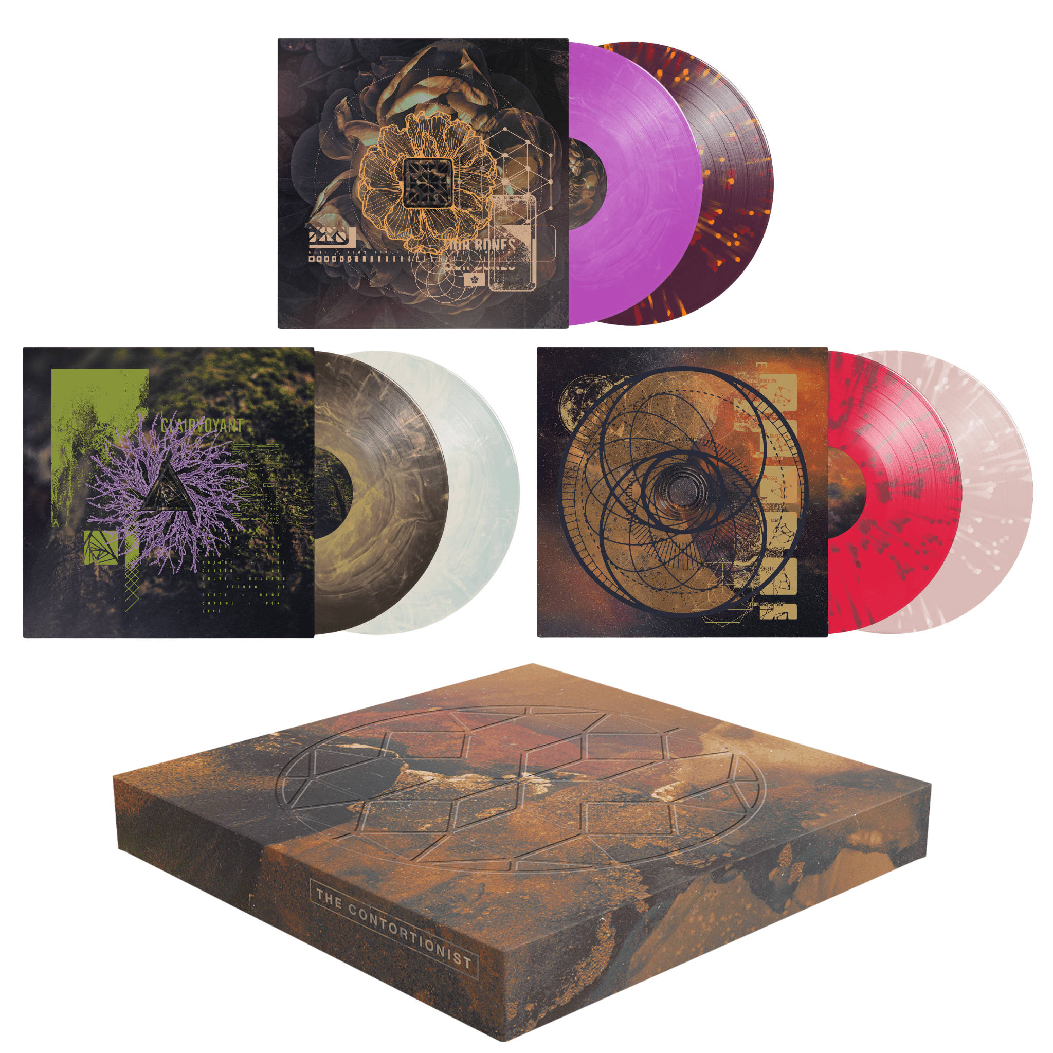 The Contortionist Official Label Store | Retrospective: Live from