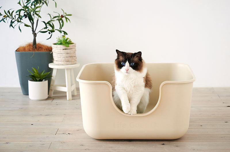 シンプル×おしゃれな超大型猫トイレ『TALL WALL BOX』に新色のベージュ