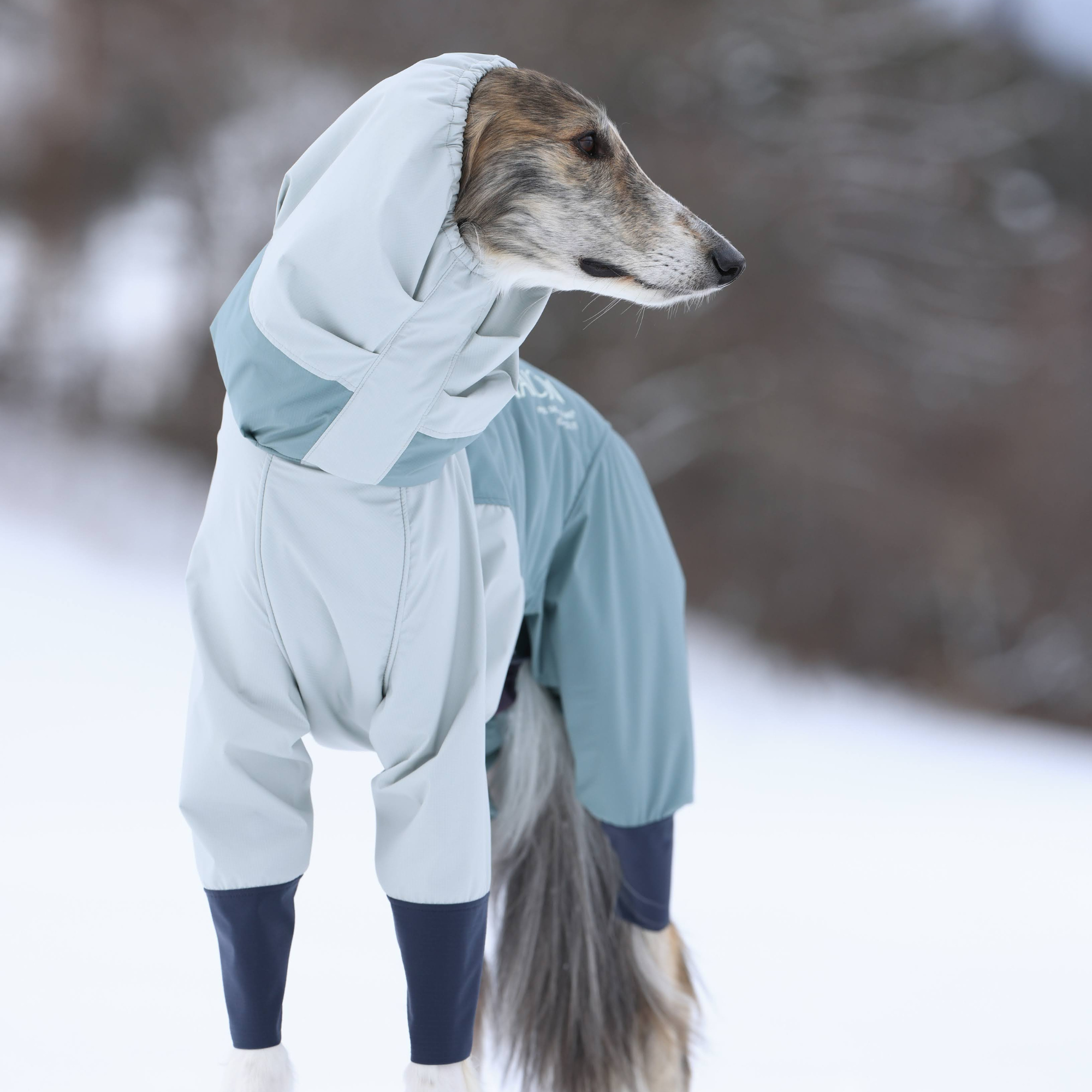 新商品情報】SNOW DOG GUARD 10/24発売