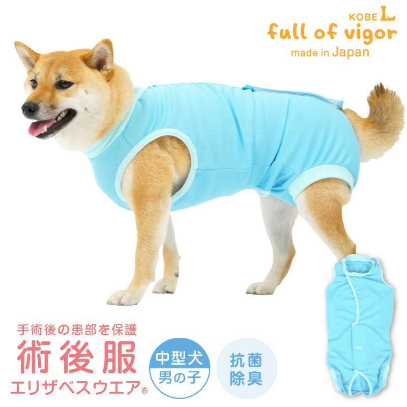 術後服エリザベスウエア(男の子-中型犬用)ブルー(BL) – anifull