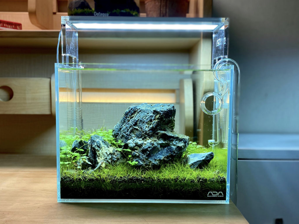 Goodbye AQUASKY G…but I'm reviewing it! – The Scaper's Room
