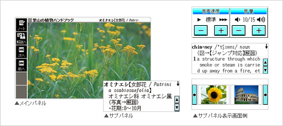 XD-N7200 - 外国語 - 電子辞書 - CASIO