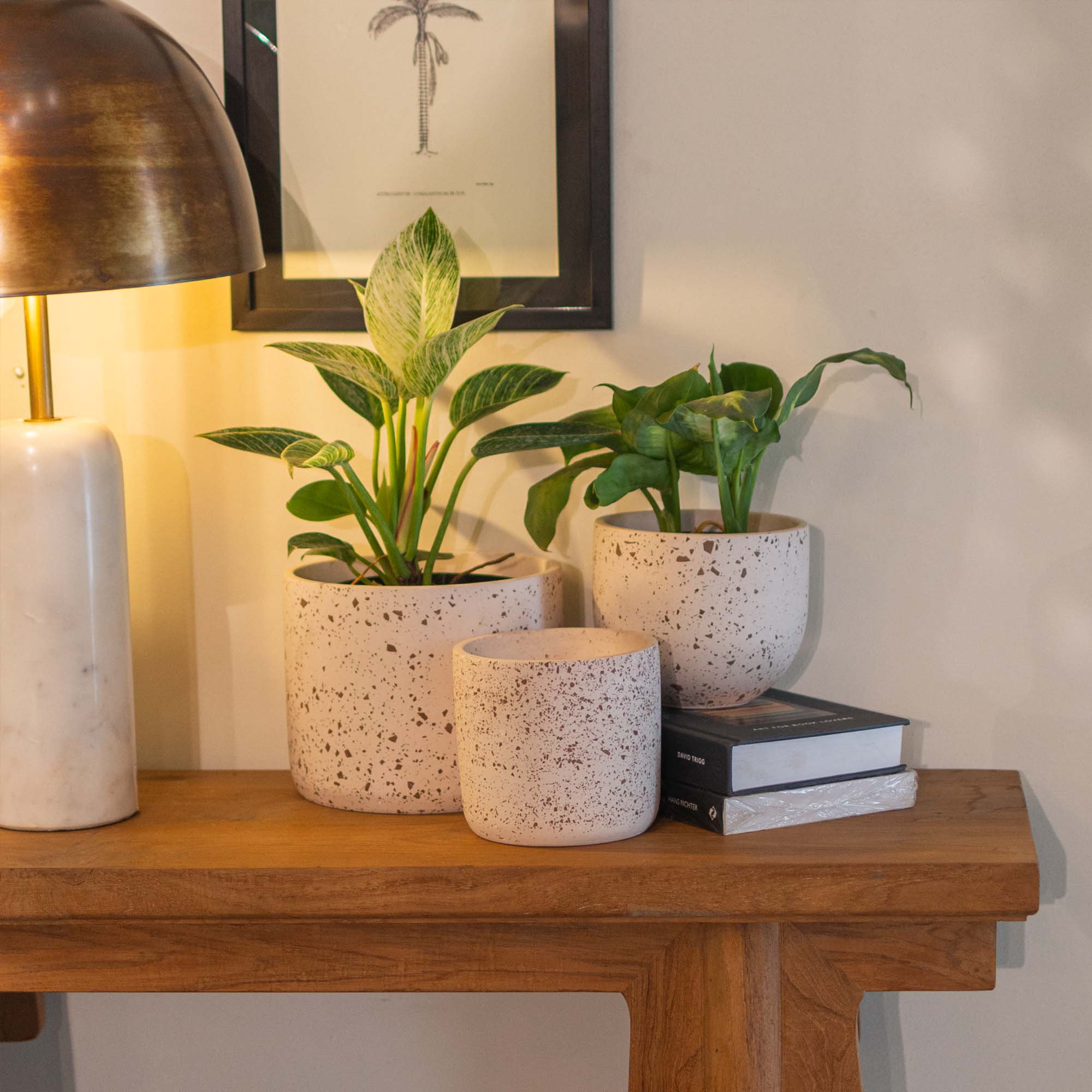 Buy Planters |Cylinder Planter |Shop at Beruru