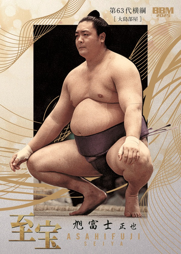 Sumo Trading Cards - 2025 series 1 – bigSUMOfan.com