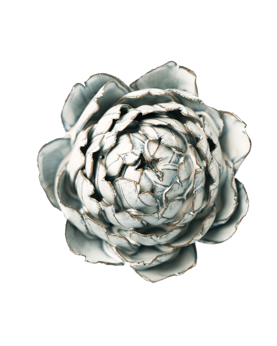 Blue White Queen Protea