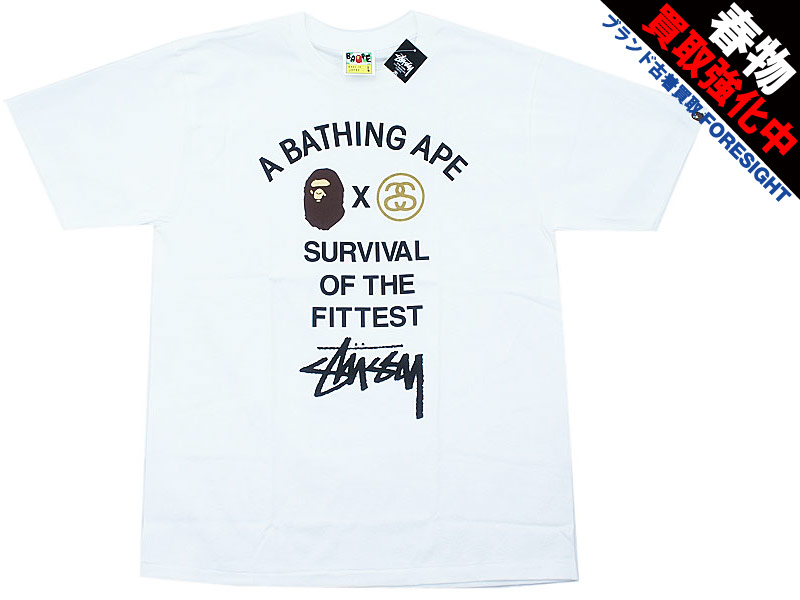 STUSSY×A BATHING APE 30周年記念 'Surivival Of The Fittest Tee'T