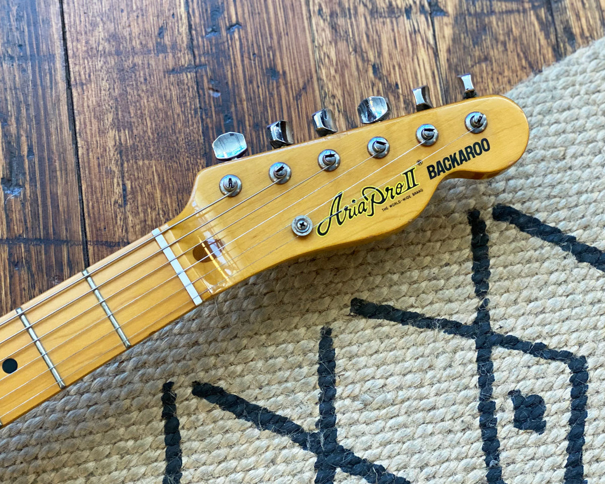 Aria Pro II Backaroo – Found Sound