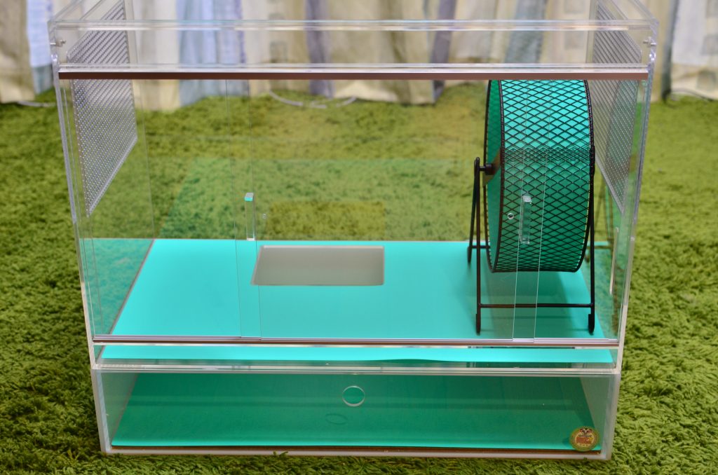 本気レビュー】ハリネズミ用アクリル飼育ケージの使用感 | 我が家の