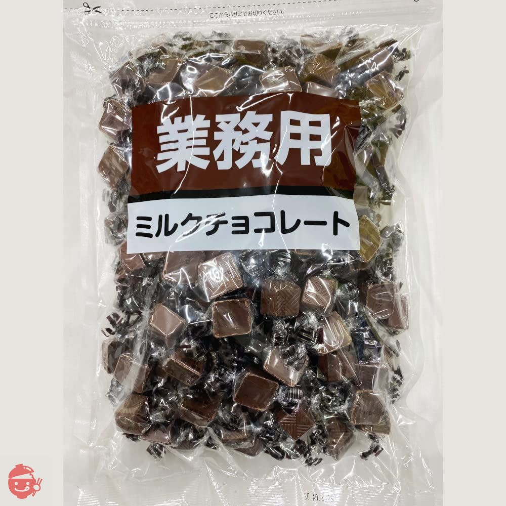 寺沢製菓 ミルクチョコレート 1kg – Japacle