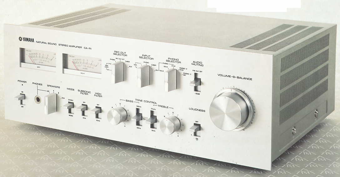ca-r1-h.jpg