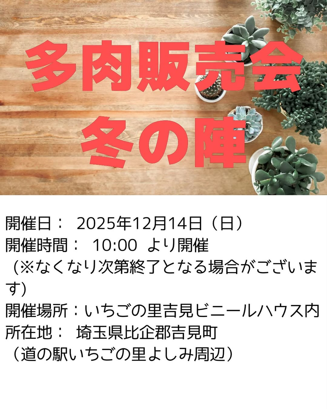 多肉植物販売会冬の陣2025が埼玉県いちごの里吉見ビニールハウスで開催