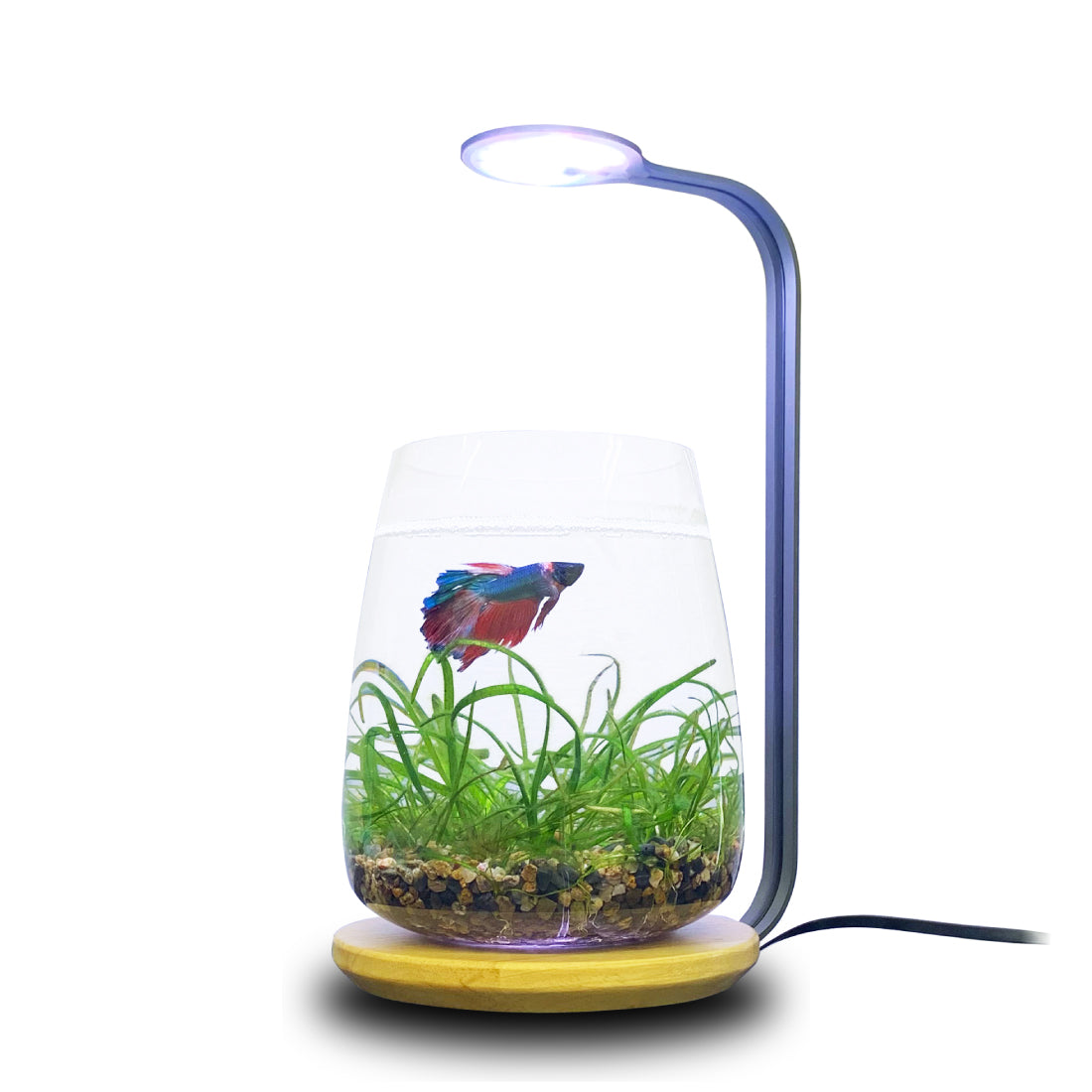 LEDSTAR デスクトップ型水槽ライト DOT｜ボトルアクアのかわいい相棒｜
