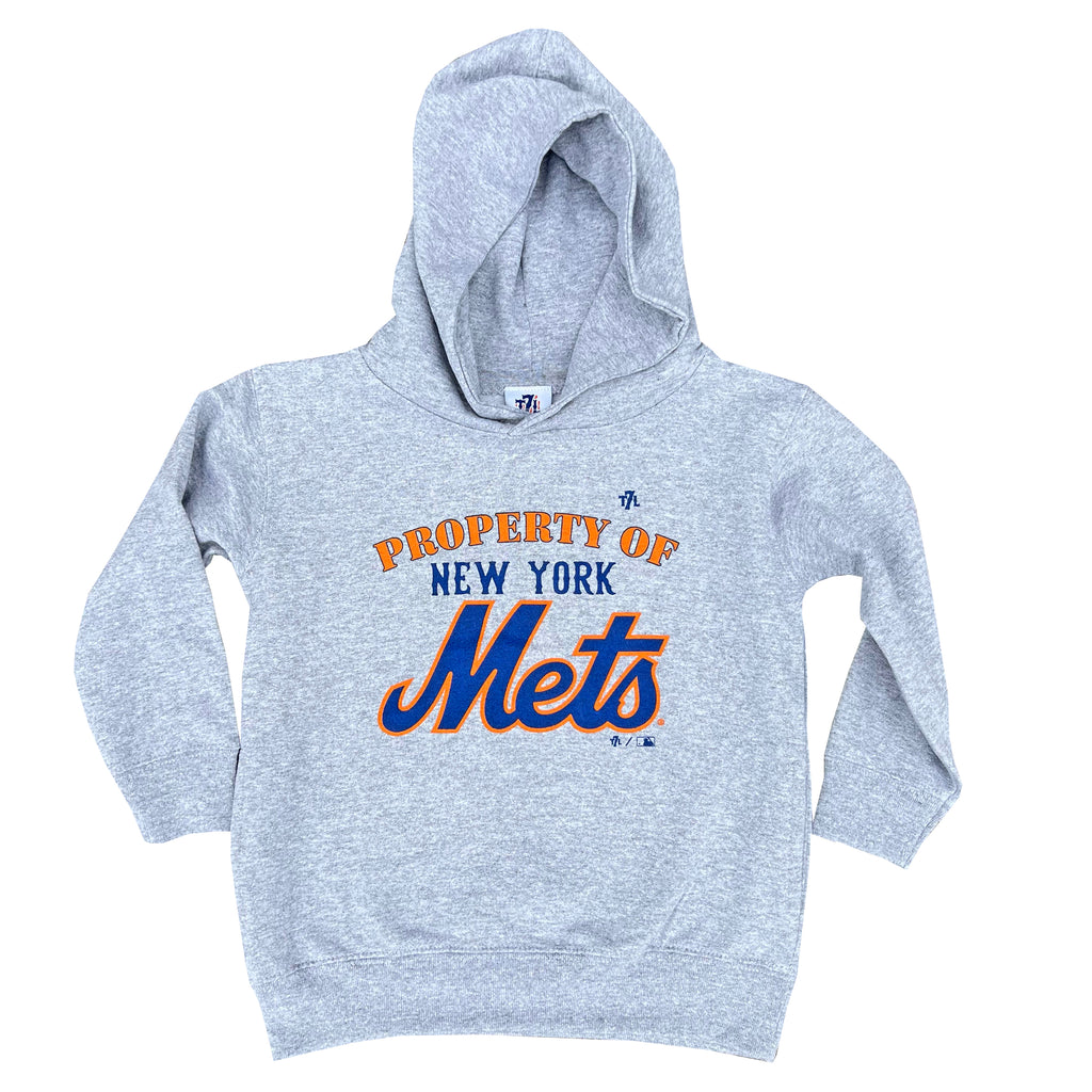 propertytoddlerhoodie_1024x102