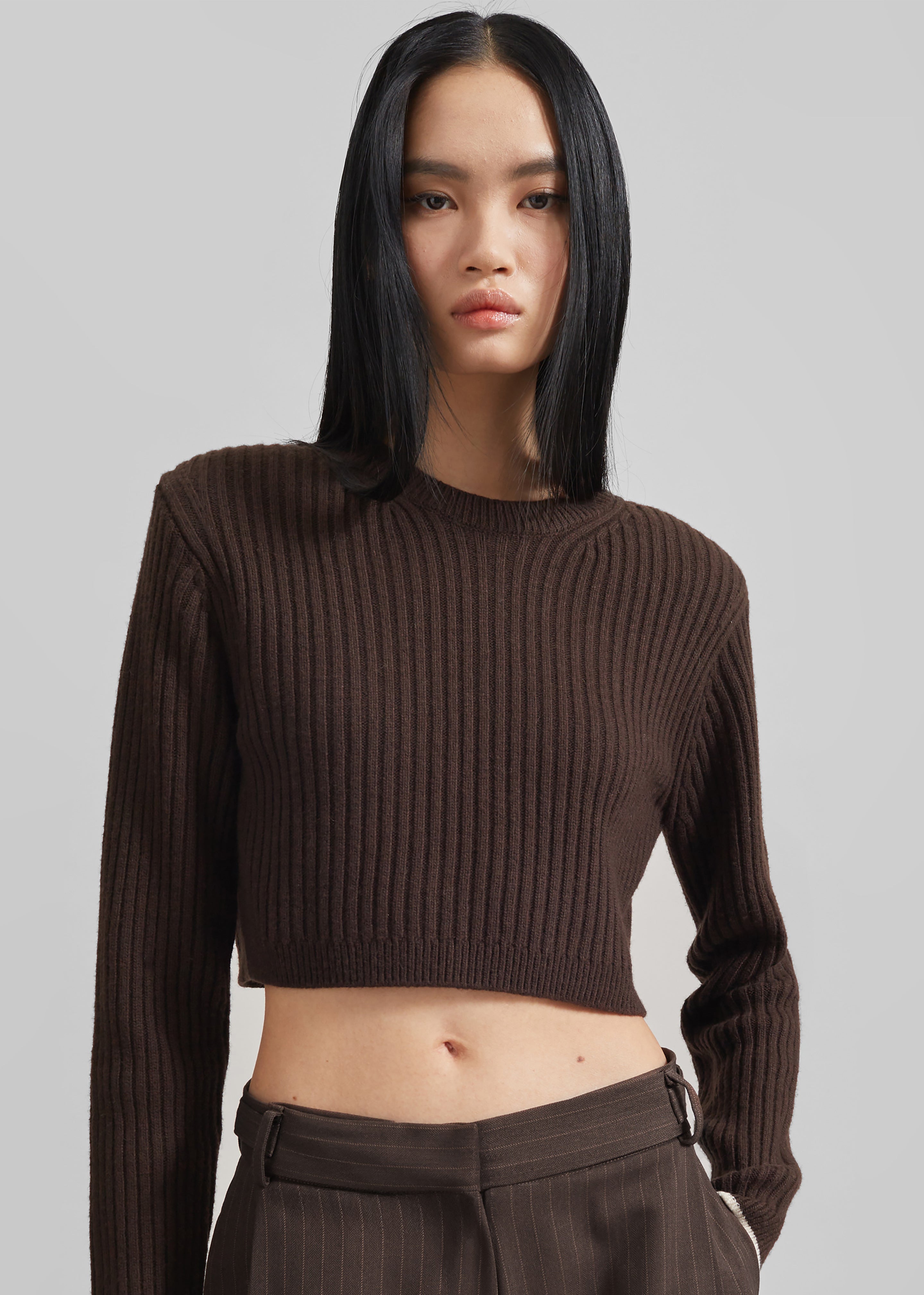 Ritsem Cropped Ribbed Wool Sweater - Dark Brown – The Frankie Shop