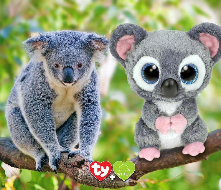 Ty公式】Beanie Boo's ケイティ (M) – Utopia