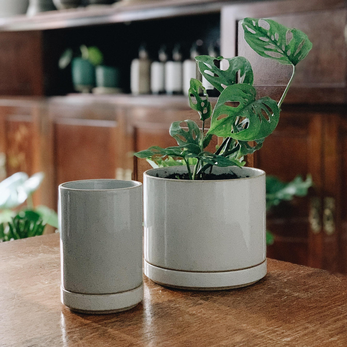 Small Hasami Porcelain プランターI 植木鉢 I プラントソサエティ