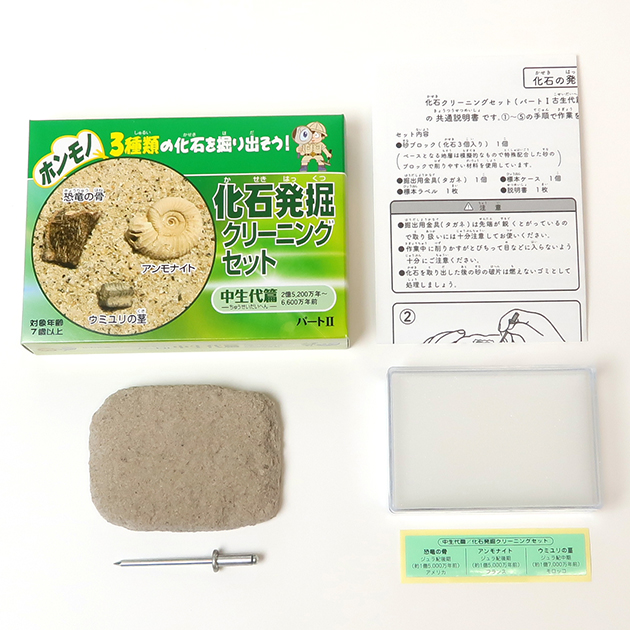 化石発掘クリーニングセット｜実験・体験シリーズ｜化石販売・鉱物販売