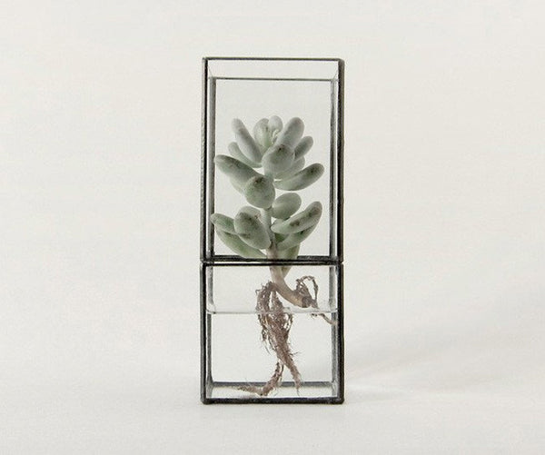 10¹² TERRA Hydro 140:80 Copper Terrarium – Ukiyo Home