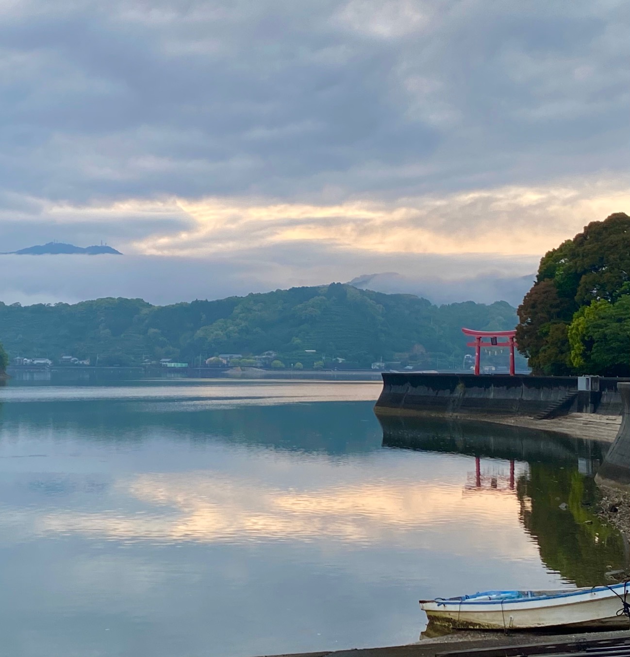 TOSARYU 土佐龍 TOSACOYA オンラインショップ