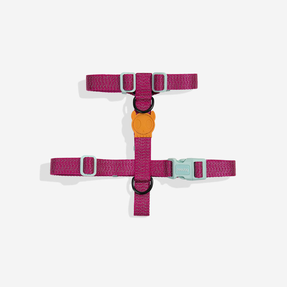 NOX Sidus | H Harness – Zee.Dog