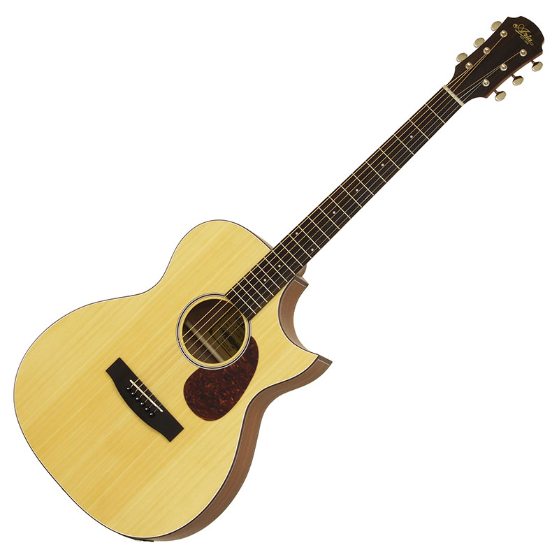Aria-101CE MTN | Aria-101 -Auditorium- | Products | ARIA 荒井貿易