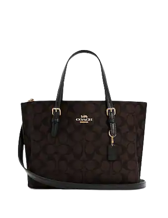 Coach Mollie Tote 25 In Signature Canvas | Brixton Baker