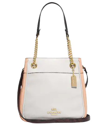 Coach Cammie Chain Bucket Bag In Colorblock | Brixton Baker