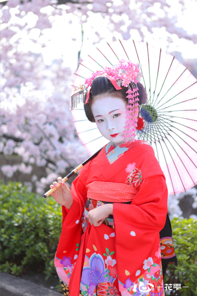 桜の下の天使*.｡ﾟ+キュートなお子様舞妓さん+..｡* | 京都祇園の花魁