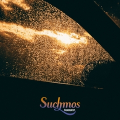 THE ANYMAL【完全生産限定盤/アナログ盤】 | Suchmos | ソニー