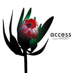 30th ANNIVERSARY MUSIC CLIPS COLLECTION BOX | access | ソニー