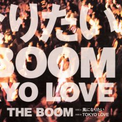 LIVE DVD BOX Vol.2 '94～'97 | THE BOOM | ソニーミュージック
