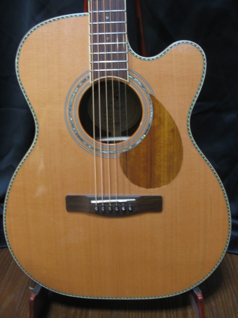 GREG BENNETT OM15CE
