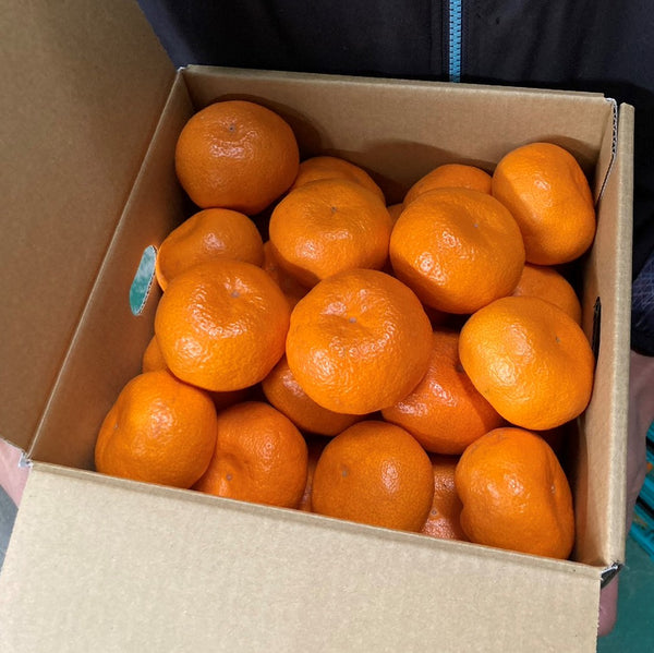 和歌山】潮風を浴びた絶品みかんを熟成！下津みかん3kg(25個前後