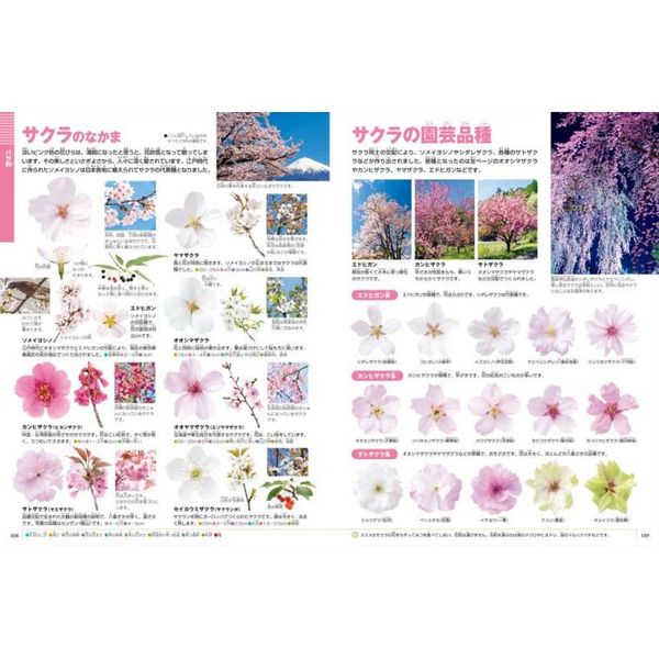 小学館の図鑑NEO 花 DVDつき 通販｜セブンネットショッピング