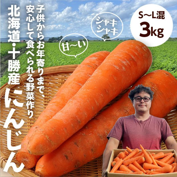 十勝産 ニンジン 10kg｜野菜｜食べレア北海道 物産 お取り寄せ