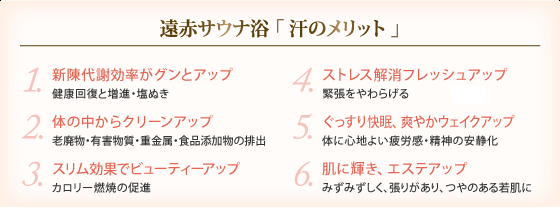 快適＆高性能のドーム型サウナ ダイヤドームリフレ
