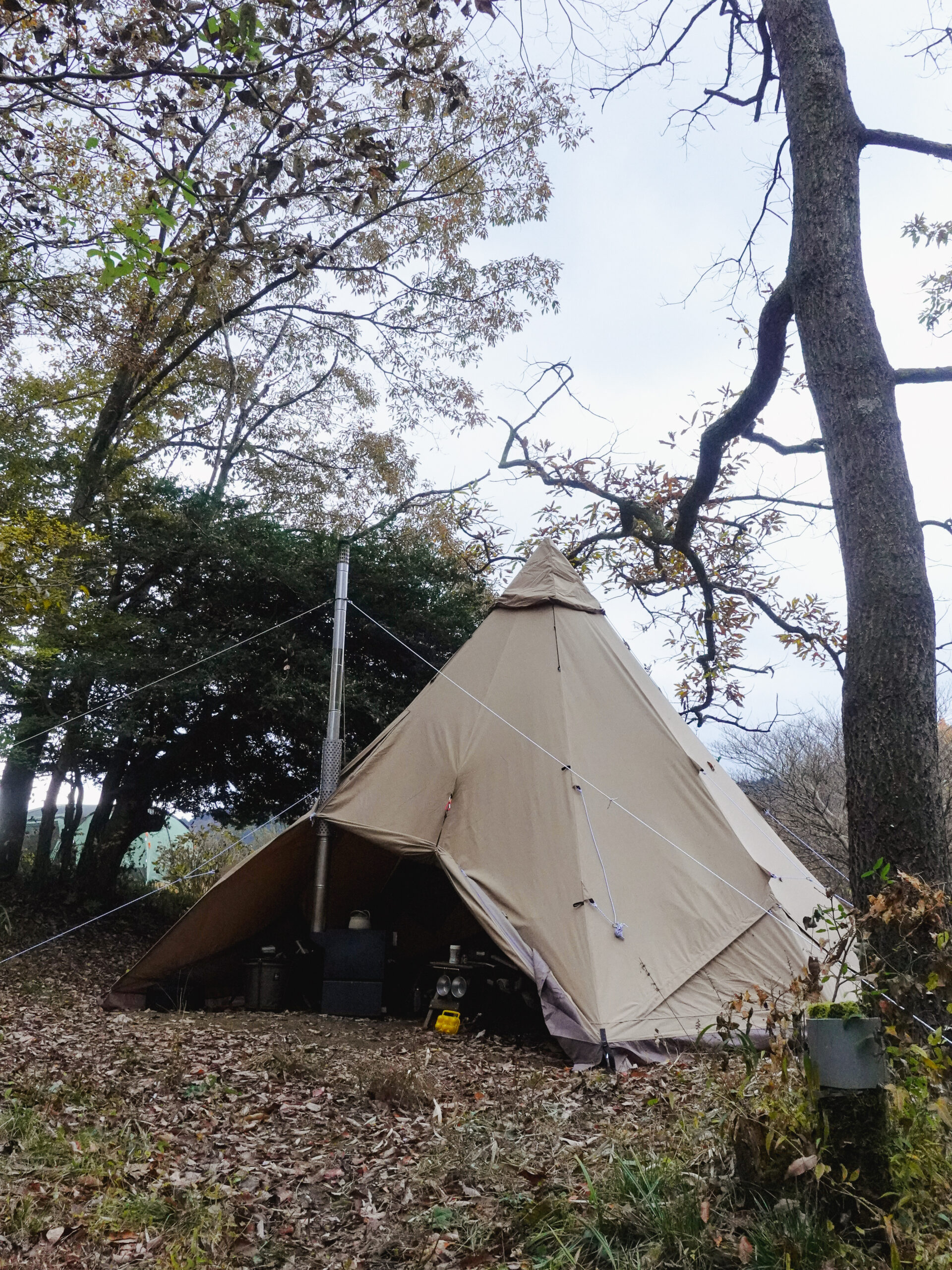 サーカスTC BIG - TENT MONSTER RENTAL