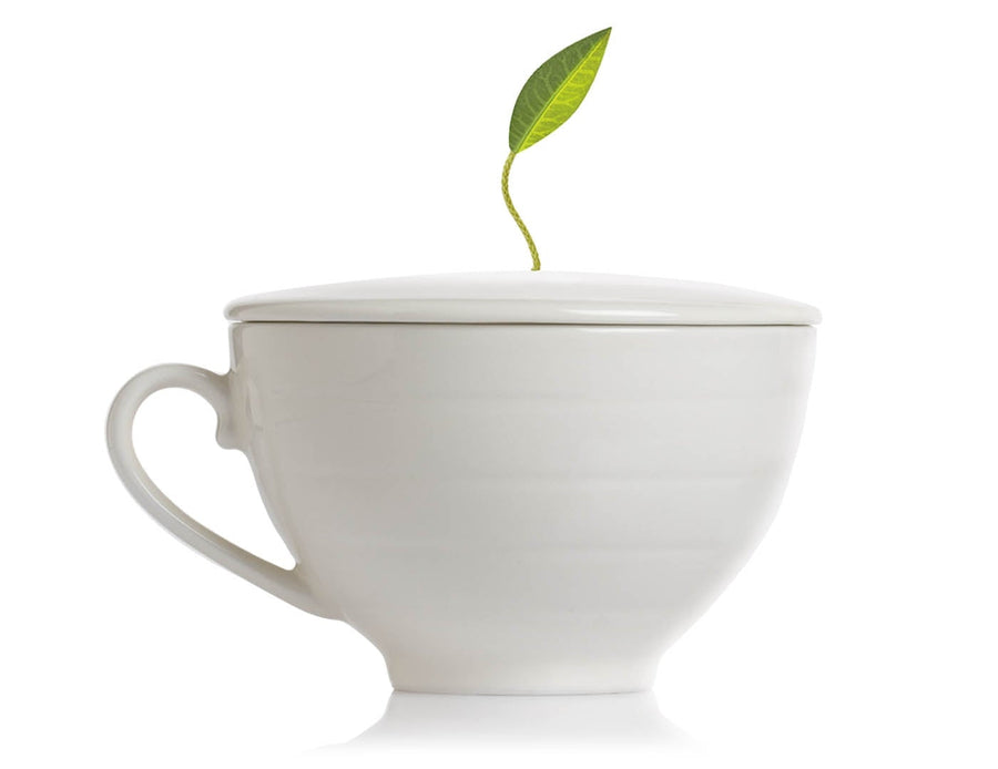ティーカップ– 紅茶ギフト専門店ティーフォルテ