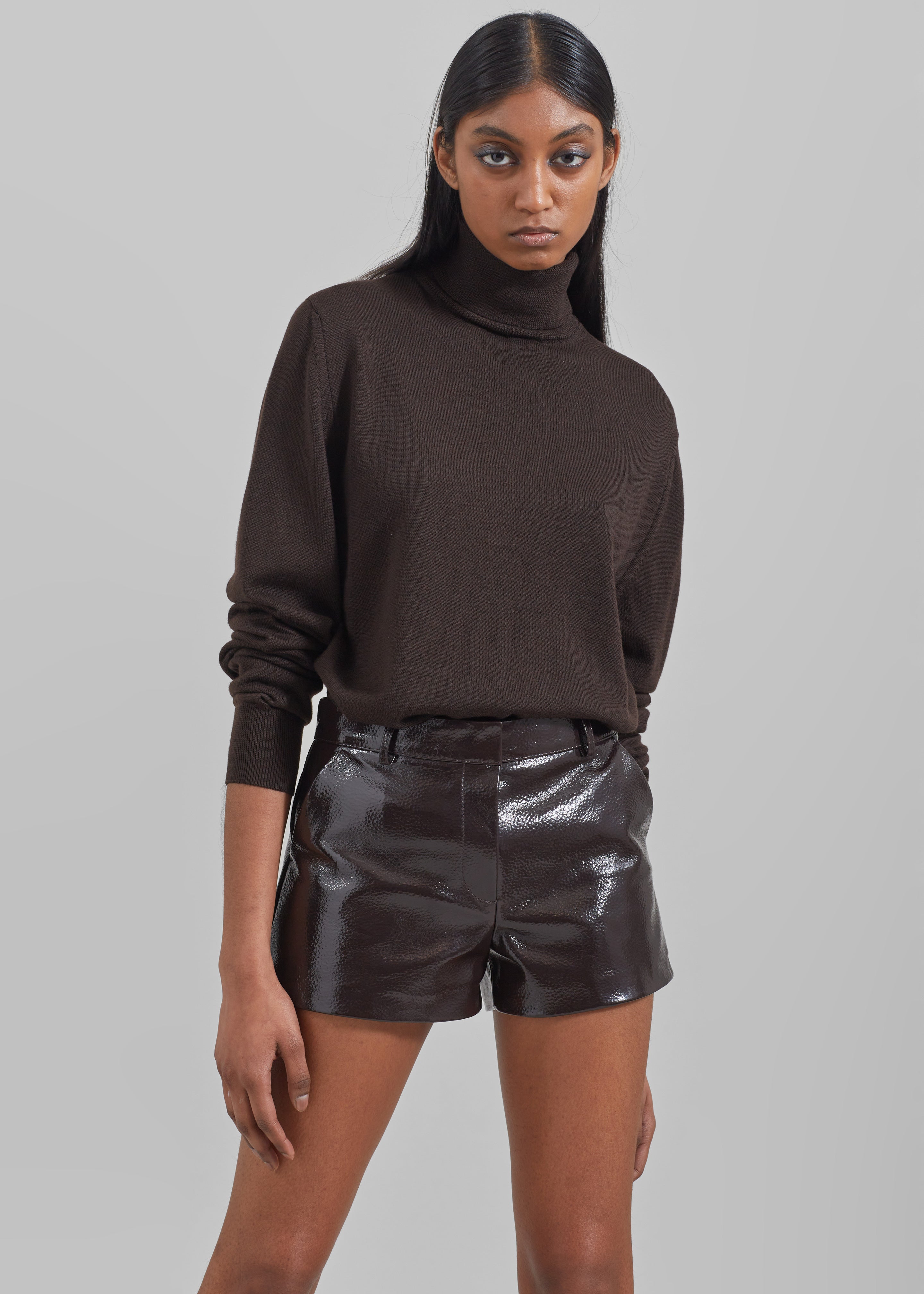 Eve Thin Turtleneck Sweater - Dark Brown – The Frankie Shop
