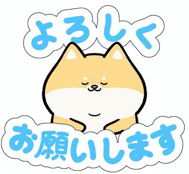 ゆるかわ黒柴のよろしくお願いしますに似ているイラスト素材｜無料