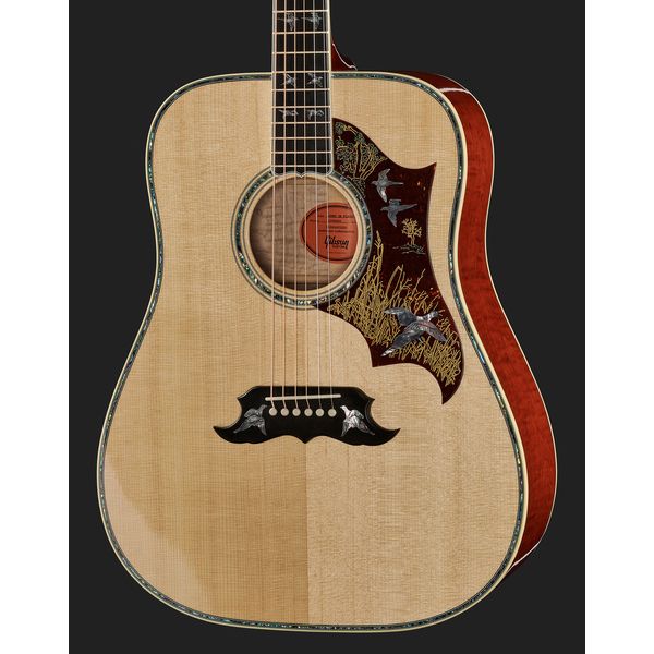 Gibson Doves in Flight AN – Thomann België