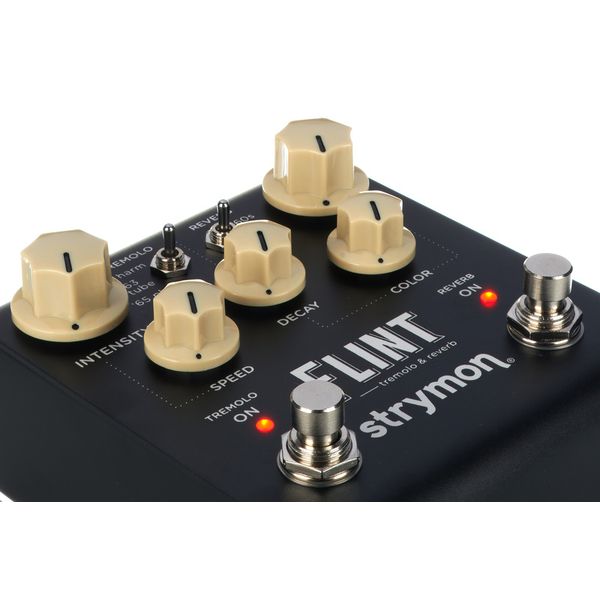 Strymon Flint V2 – United States