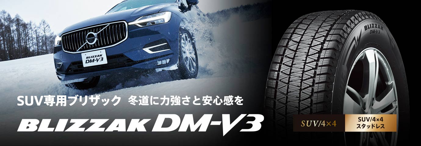 BLIZZAK DM-V3 215/70R16 100Q｜ブリヂストン タイヤオンラインストア