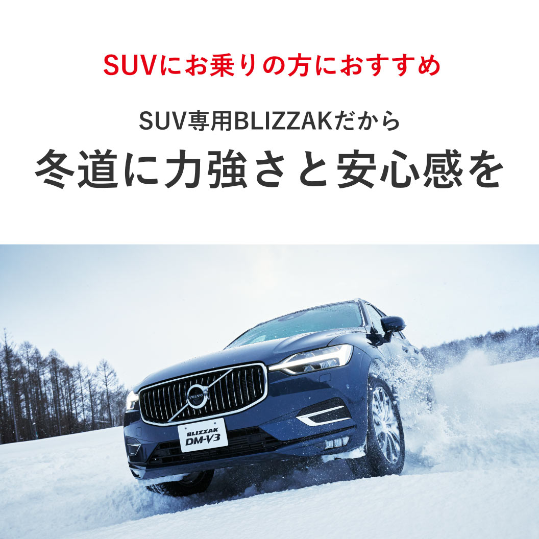 BLIZZAK DM-V3 235/65R18 106Q｜ブリヂストン タイヤオンラインストア
