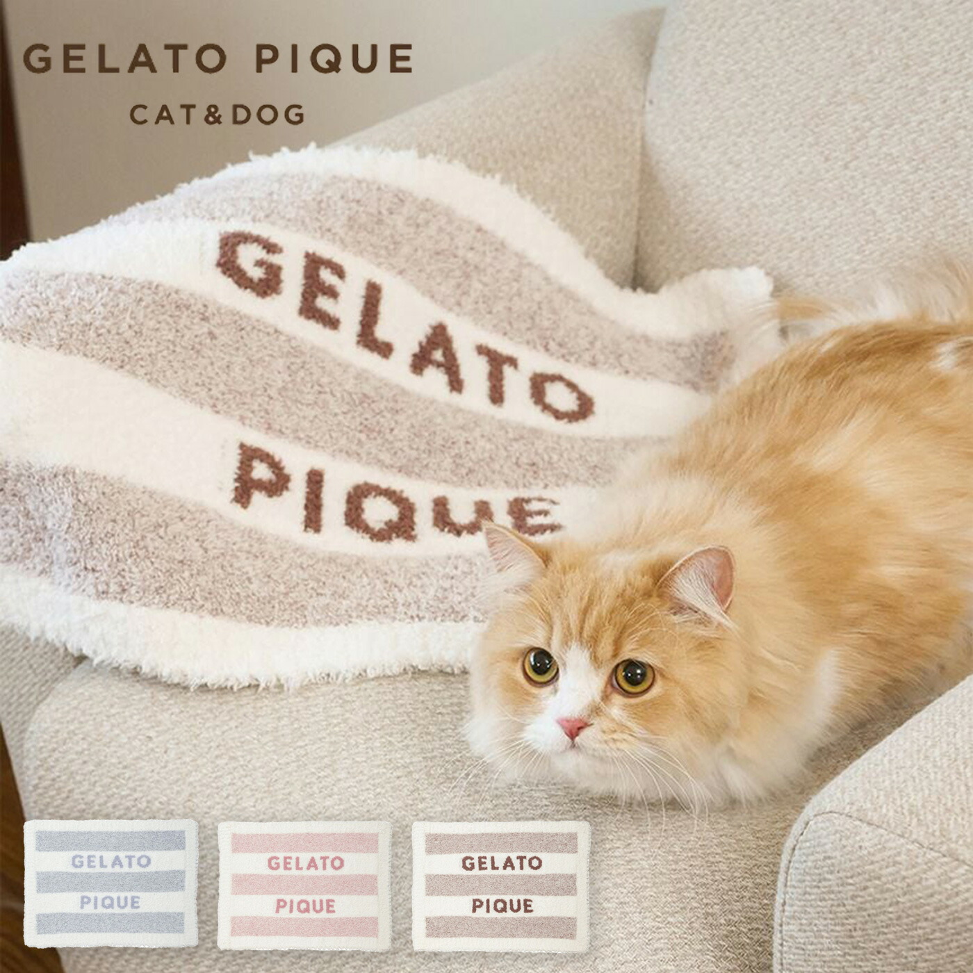 楽天市場】ジェラートピケ gelato pique CAT&DOG ジェラートメランジ2