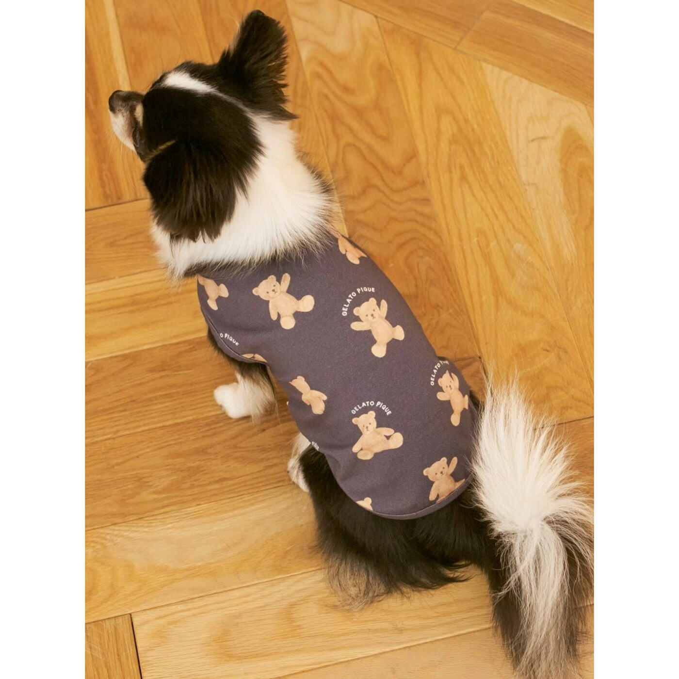 楽天市場】SALE20%OFF ジェラートピケ gelato pique CAT&DOG ベア柄