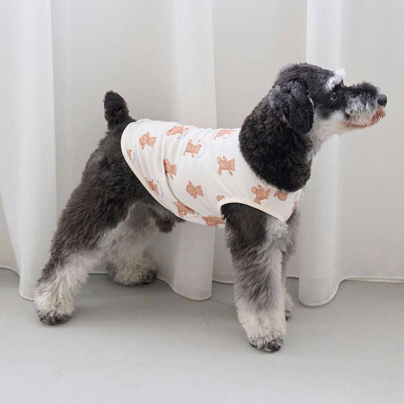楽天市場】SALE20%OFF ジェラートピケ gelato pique CAT&DOG ベア柄