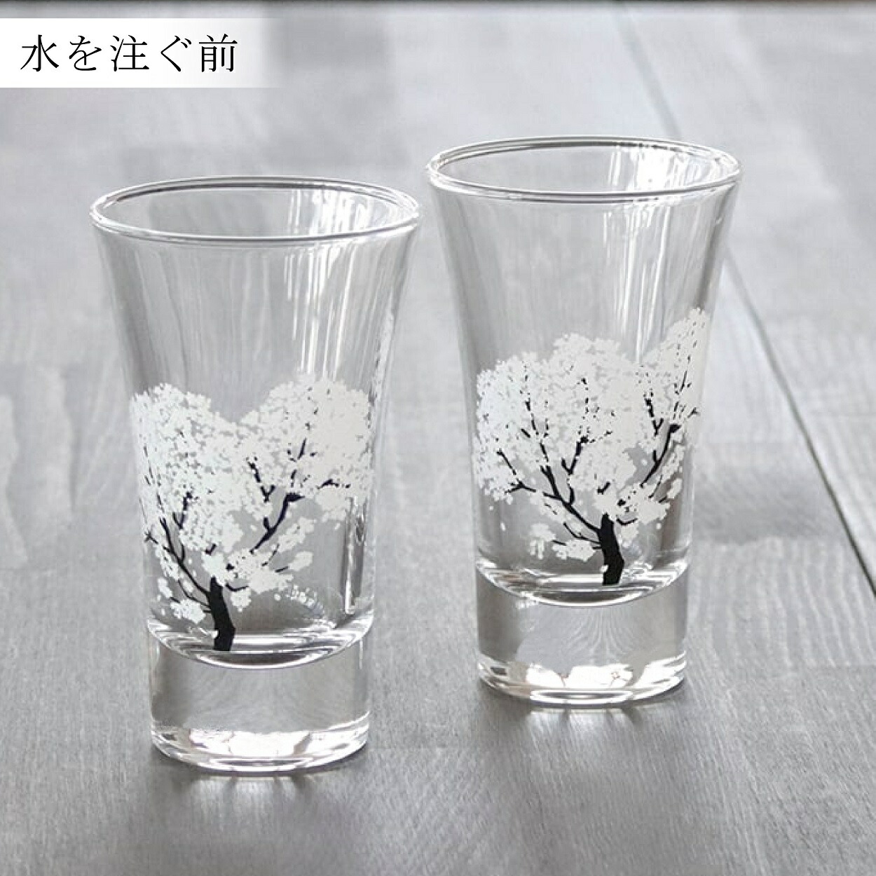 楽天市場】冷感桜 丸モ高木陶器 グラス 天開 ペアセット 正規品 温度で