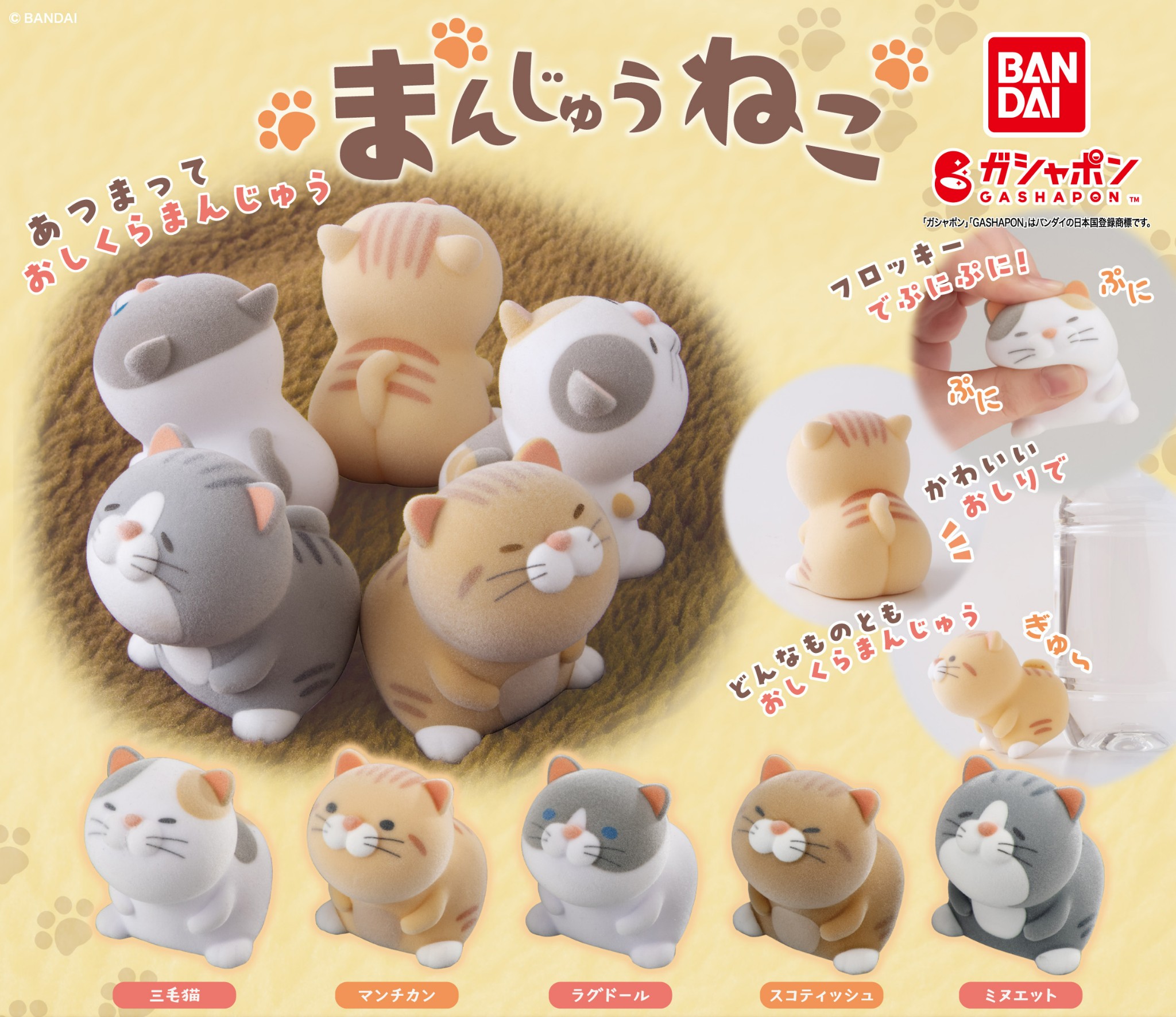 楽天市場】まんじゅうねこ 全5種コンプリートセット : マニアの森 楽天