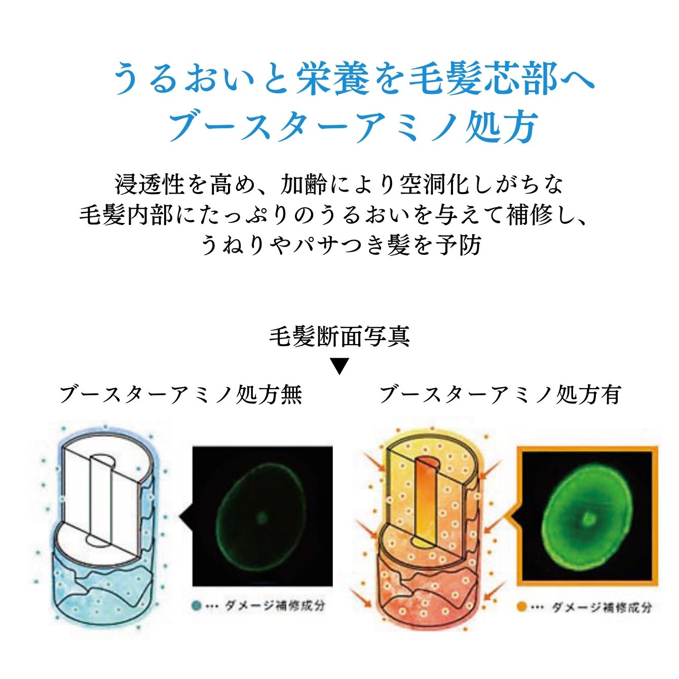 楽天市場】【公式】ミープラス 白髪染め シャンプー詰め替え用 300ml×3